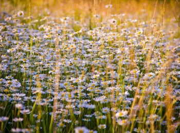 Лечение зависимости от спайса